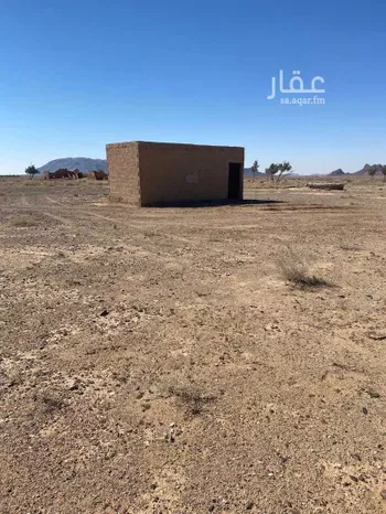 مزرعة للبيع في حي العموده الشماليه والجنوبيه, مدينة العموده الشماليه والجنوبيه, منطقة القصيم