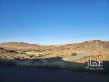 مزرعة للبيع في شارع بني مالك, حي الزين, مدينة ابها, منطقة عسير صورة 2