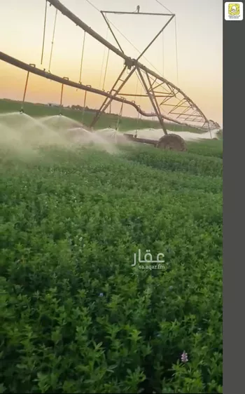مزرعة للبيع في شارع 0000, مدينة بقعاء, منطقة حائل صورة 3