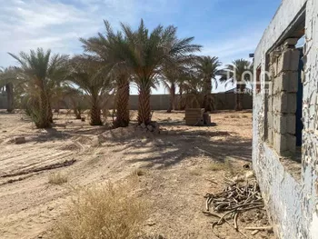 أرض للإيجار في حي العفجه, مدينة الخرج, منطقة الرياض صورة 4