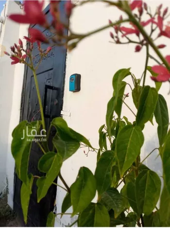 شاليه واستراحة للحجز في شارع 16 الفتح ، حي العمرة الجديدة ، مكة المكرمة ، منطقة مكة المكرمة صورة 3