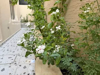 دور للإيجار في شارع الخراشي, حي المروج, مدينة الرياض, منطقة الرياض صورة 5
