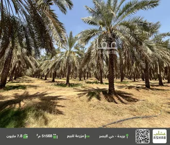 مزرعة للبيع في شارع المليداء 1002, مدينة البصر, منطقة القصيم