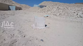 أرض للبيع في شارع بدون, حي قصور ال مقبل, مدينة مزارع البطين ومزرعه دواجن, منطقة الرياض صورة 5