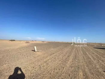أرض للبيع في حي اليسر, مدينة جدة, منطقة مكة المكرمة صورة 2