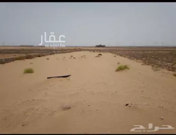 أرض للبيع في طريق الملك فيصل بن عبد العزيز ، المقيدر ، ابو عريش صورة 4