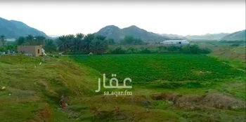 مزرعة للبيع في شارع ام هشيم, حي ام هشيم, مدينة ام هشيم, منطقة مكة المكرمة صورة 3