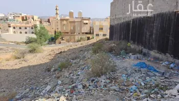 أرض للبيع في حي الهدا, مدينة امارة منطقة مكة المكرمة - الطائف, منطقة مكة المكرمة