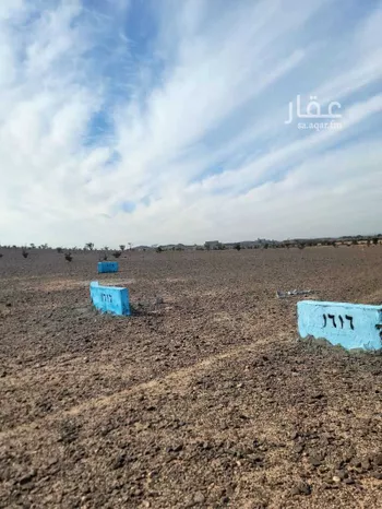 أرض للبيع في شارع طريق العشيرة المحاني, حي الفيصليه, مدينة الطائف - الفيصليه, منطقة مكة المكرمة صورة 5