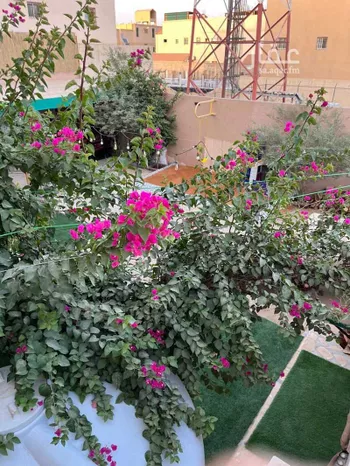 محل للإيجار في شارع الامير عبدالله بن عبدالرحمن, حي ظهرة العودة شرق, مدينة امارة منطقة الرياض - الدرعيه, منطقة الرياض صورة 2