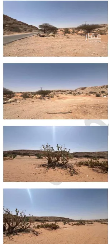 أرض للبيع في حي عريض ، الرياض ، منطقة الرياض صورة 2