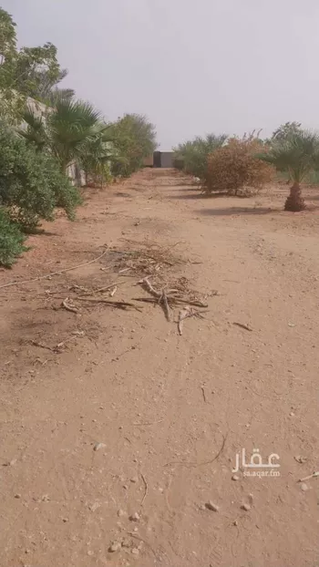 مزرعة للبيع في شارع   1, حي الحزم والبطينه, مدينة الحزم والبطينه, منطقة الرياض صورة 4