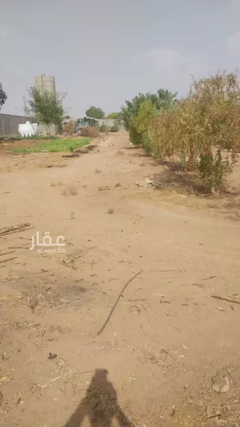 مزرعة للبيع في شارع   1, حي الحزم والبطينه, مدينة الحزم والبطينه, منطقة الرياض صورة 2