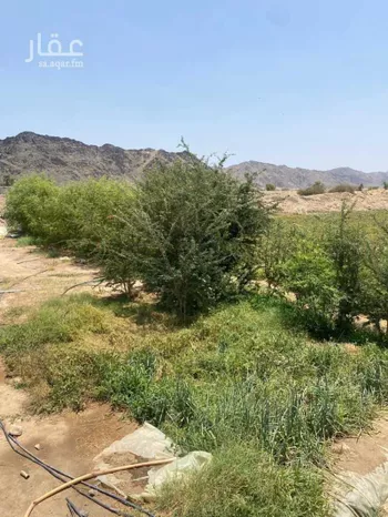 مزرعة للبيع في شارع هدى الشام, مدينة جدة, منطقة مكة المكرمة صورة 5