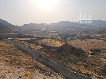 أرض للبيع في شارع 193 الحسينية ، حي العوالي ، مكة ، منطقة مكة المكرمة صورة 3