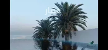 شقة للإيجار في شارع وادي حقيل, حي الصحافة, مدينة الرياض, منطقة الرياض صورة 3