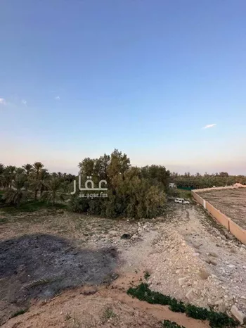 مزرعة للبيع في حي الروابي, مدينة عنيزه, منطقة القصيم صورة 4