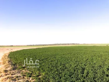 مزرعة للبيع في شارع طريق زراعي , حي مزارع عنز, مدينة مزارع عنز, منطقة القصيم صورة 4