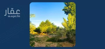 مزرعة للبيع في شارع شارع , مدينة عيون الجواء, منطقة القصيم