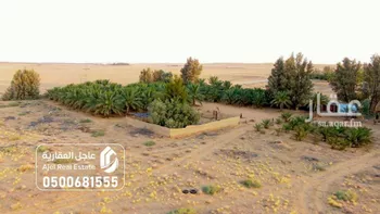 مزرعة للبيع في شارع شارع , حي الصداة, مدينة الصداة, منطقة حائل صورة 5