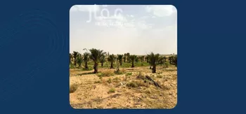 مزرعة للبيع في شارع ترابي, حي ساق, مدينة ساق, منطقة القصيم