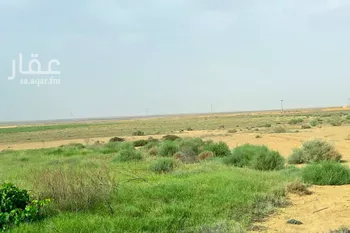 مزرعة للبيع في شارع طريق بقعاء, حي الفويلق رقم(1), مدينة الفويلق رقم 1, منطقة حائل صورة 3