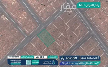 أرض للبيع في شارع شارع , حي السلام, مدينة الشنان, منطقة حائل صورة 2
