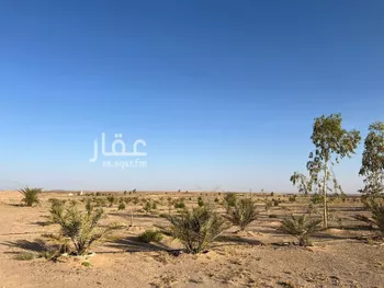 أرض للبيع في شارع شارع , مدينة بقعاء, منطقة حائل صورة 3