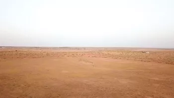 مزرعة للبيع في شارع ترابي, حي مزارع شرق البطين, مدينة مزارع شرق البطين, منطقة القصيم صورة 3