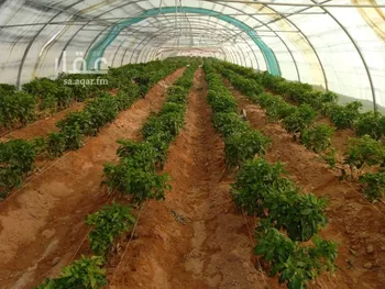 مزرعة للبيع في شارع شارع , مدينة خريمان, منطقة الرياض صورة 5
