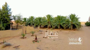 مزرعة للبيع في شارع شارع , حي الصداة, مدينة الصداة, منطقة حائل صورة 2