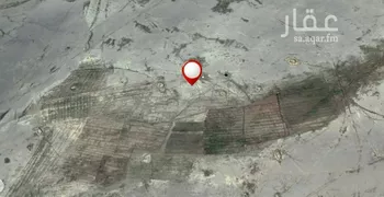 مزرعة للبيع في شارع شارع , حي النومانيه, مدينة النومانيه, منطقة القصيم صورة 3