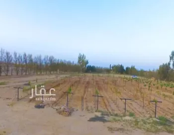 مزرعة للبيع في شارع الطريق الدولي , حي مورد بن دويهم, مدينة مورد بن دويهم, منطقة الحدود الشماليه صورة 3