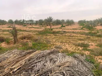 أرض للبيع في شارع ترابي, حي الودى, مدينة ودي الحزم الودي, منطقة حائل صورة 4