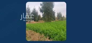 أرض للبيع في شارع ترابي, حي الودى, مدينة ودي الحزم   الودي, منطقة حائل