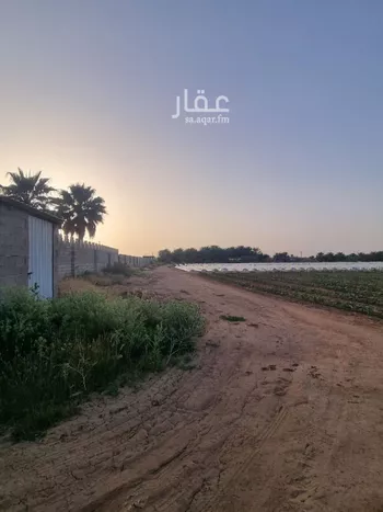 أرض للبيع في شارع شارع , مدينة عيون الجواء, منطقة القصيم صورة 2