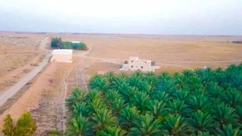 مزرعة للبيع في شارع ترابي, حي مزارع شرق البطين, مدينة مزارع شرق البطين, منطقة القصيم صورة 5