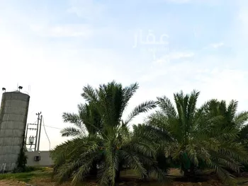 مزرعة للبيع في شارع شارع , مدينة عيون الجواء, منطقة القصيم صورة 5