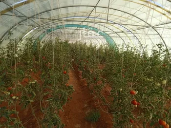 مزرعة للبيع في شارع شارع , مدينة خريمان, منطقة الرياض صورة 2