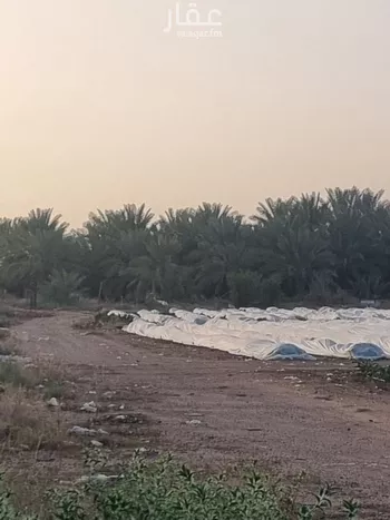 أرض للبيع في شارع شارع , مدينة عيون الجواء, منطقة القصيم صورة 3
