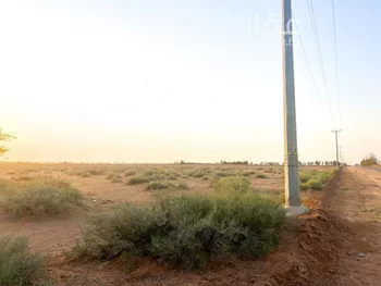 أرض للبيع في شارع شارع , حي الودى, مدينة ودي الحزم   الودي, منطقة حائل صورة 2