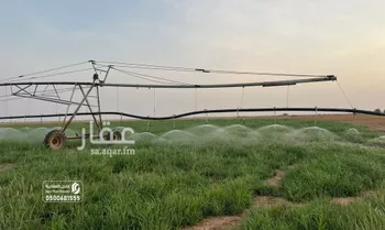 أرض للبيع في شارع شارع , حي مزارع الخرما الشماليه الغربية, مدينة مزارع الخرما الشماليه الغربية, منطقة القصيم صورة 4