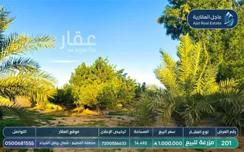 مزرعة للبيع في شارع شارع , مدينة عيون الجواء, منطقة القصيم صورة 2