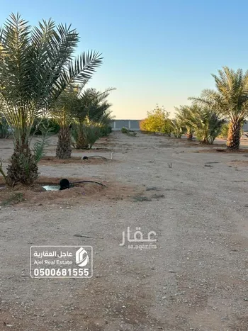 مزرعة للبيع في شارع شارع , حي الساحبه ومزارعها, مدينة الساحبه ومزارعها, منطقة الرياض صورة 3