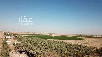 مزرعة للبيع في شارع شارع , حي فيضه بن حميد, مدينة فيضه بن حميد, منطقة القصيم صورة 3