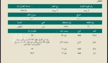 أرض للبيع في شارع طريق الطائف الباحة السياحي , حي السر, مدينة امارة منطقة مكة المكرمة - الطائف, منطقة مكة المكرمة صورة 2