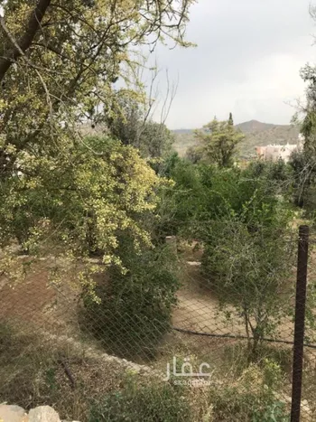 أرض للبيع في طريق الشفاء ، حي الشفا ، الطائف ، الطائف صورة 2