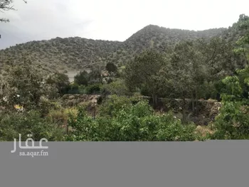 أرض للبيع في طريق الشفاء ، حي الشفا ، الطائف ، الطائف صورة 3