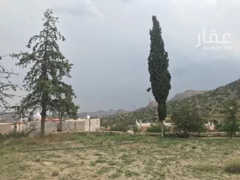 أرض للبيع في طريق الشفاء ، حي الشفا ، الطائف ، الطائف صورة 5