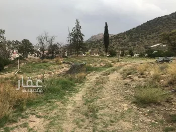 أرض للبيع في طريق الشفاء ، حي الشفا ، الطائف ، الطائف